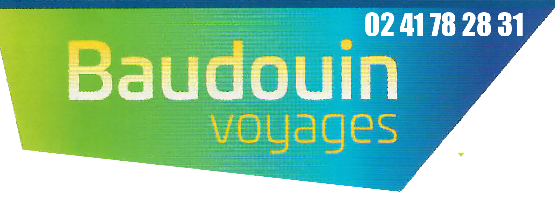 https://prostars.fr/wp-content/uploads/2022/08/logo_BAUDOUIN.png